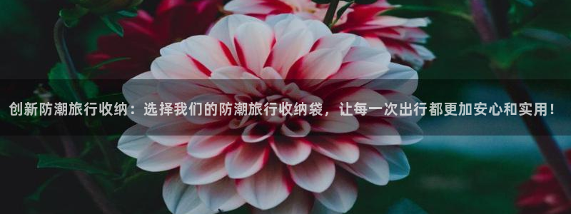 “海角社区hja42：创新防潮旅行收纳：选