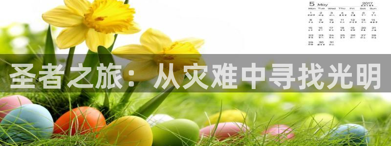 海角社区0：圣者之旅：从灾难中寻找光明