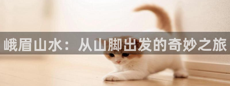 海角社区,：峨眉山水：从山脚出发的奇妙之