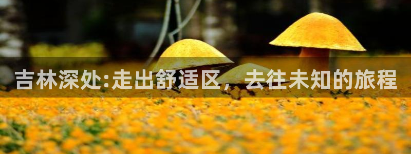 “海角社区天涯海角：吉林深处:走出舒适区，